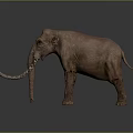 Detailed Mammoth 3D Model Standing With Long Curved Tusks Brown Fur And Gray Background