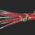 Vibrant red and white squid displaying long slender tentacles in marine habitat