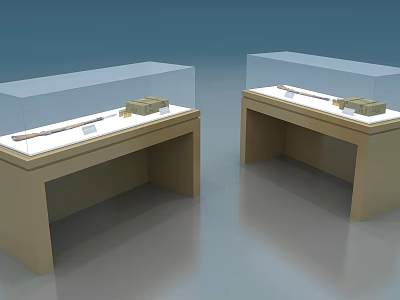 Display Shelves With Glass Covers And Wooden Bases For Exhibition Items 3d model