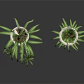 Lush Spider Plants In White Hanging Pots With Long Green Leaves And Small Offshoots