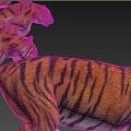 Tiger with animation 3d model