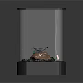 Small Transparent Glass Terrarium With Green Plants Rocks Bubbles Black Base And Lid