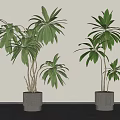 Lush Green Leafy Potted Plants in Gray Textured Pots Against White Wall and Gray Floor