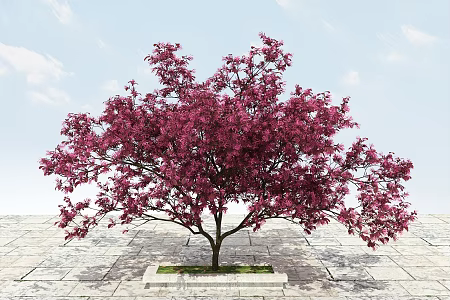 Modern Tree Big Tree Flowering Plant 3d model