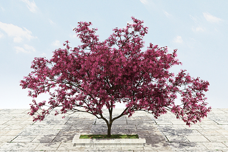 Modern Tree Big Tree Flowering Plant 3d model