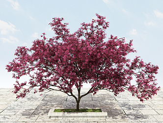 Modern Tree Big Tree Flowering Plant 3d model