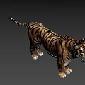 Realistic Tiger 3D Model Featuring Striped Fur And Standing Posture 3d model
