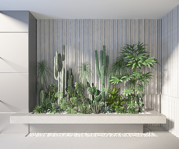 Modern Plant Combinations 3d model