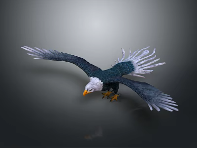 Flying Eagle With Spreading Wings Dark Green And White Feathers Yellow Beak And Talons 3d model