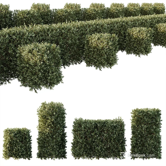Well Trimmed Green Bushes With Various Heights And Geometric Shapes For Garden Landscape 3d model 