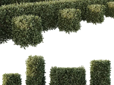 Well Trimmed Green Bushes With Various Heights And Geometric Shapes For Garden Landscape 3d model
