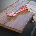 Detailed Human Brain Anatomical Model on Wooden Table with Cover Cloth and Water Stains