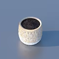 White Textured Flower Pot With Soil For Home Living Decorative Use