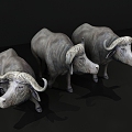 Modern cattle buffalo 3d model