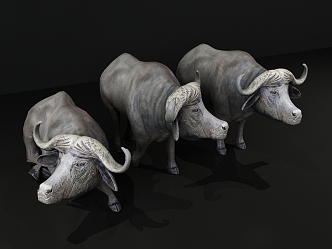 Modern cattle buffalo 3d model