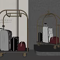 Modern Style Luggage Display With Golden Frame Carts Black Suitcases Silver Briefcases And Brown Bags