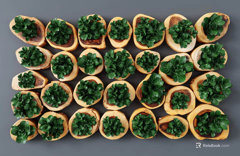 Lush Green Living Plant Wall With Wooden Planters And Neat Arrangement 3d model 