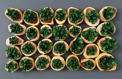 Lush Green Living Plant Wall With Wooden Planters And Neat Arrangement 3d model