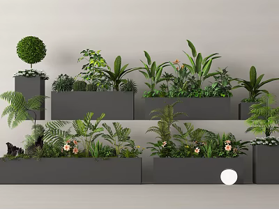 Various Bonsai Potted Plants With Green Foliage Arranged In Rectangular Planters 3d model