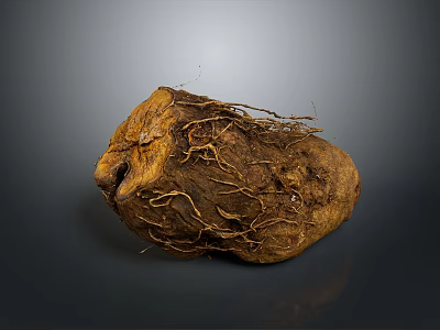 Natural Wood Stone Material With Intricate Root Structure And Rough Surface Texture 3d model