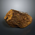 Natural Wood Stone Material With Intricate Root Structure And Rough Surface Texture