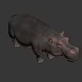 Realistic Hippopotamus 3D Model With Grey Skin And Standing Pose