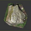 Natural Wood Stone With Green Moss Natural Texture And Color Variations
