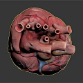 Anatomical Human Heart Model With Detailed Vascular Structure And Red Blue Tissues