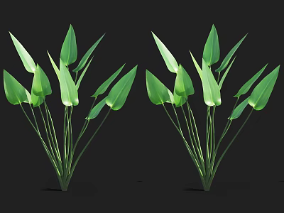Healthy Aquatic Plants with Green Long Leaves and Stems in Natural Growth 3d model