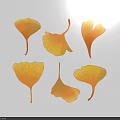 Ginkgo Leaf Illustrations With Yellow Orange Hues And Various Shapes On White Background