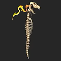 Mythical Skeleton Dragon Weapon With Flaming Tail And Sharp Teeth