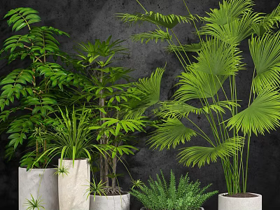 Various Tall and Short Green Potted Plants in Different Pots Against Dark Wall 3d model