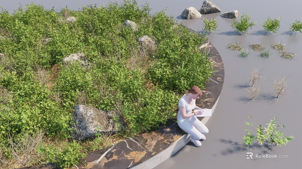 Lush Green Ground Cover Plants With Rocks And Person Sitting On Edge By Water Body 3d model 