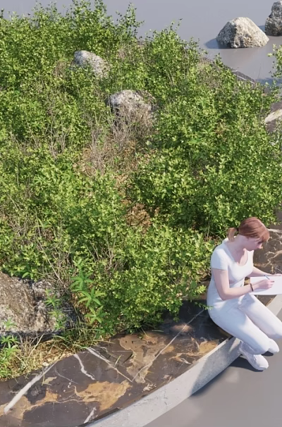 Lush Green Ground Cover Plants With Rocks And Person Sitting On Edge By Water Body 3d model