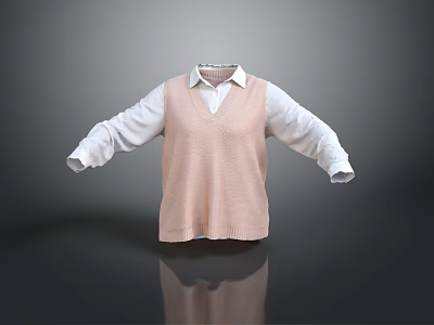 Pink Knitted Vest Over White Shirt With Extended Sleeves And Gray Background Reflection 3d model