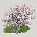 Beautiful Arbor Adorned with Pink Blossoms and Green Grass Around Stones in Natural Setting