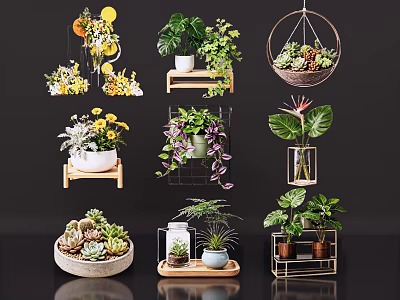 Vase Flowers Hanging Shelf Ceramic Metal Glass Containers Succulents Green Plants Yellow Blooms Decor 3d model