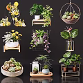 Vase Flowers Hanging Shelf Ceramic Metal Glass Containers Succulents Green Plants Yellow Blooms Decor