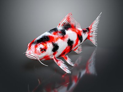 Modern cold water fish goldfish gilt grass gold 3d model