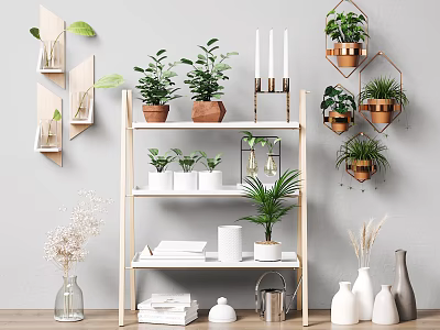 Modern Wooden Shelving Unit With Plants Vases Candles And Wall Mounted Hexagon Shelves 3d model