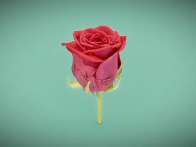 Vibrant Red Rose Plant With Green Stem And Blooming Petals On Light Green Background 3d model