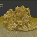 Light Brown Coral Polyps With Holes And Folds Displayed On Gray Cloth Surface