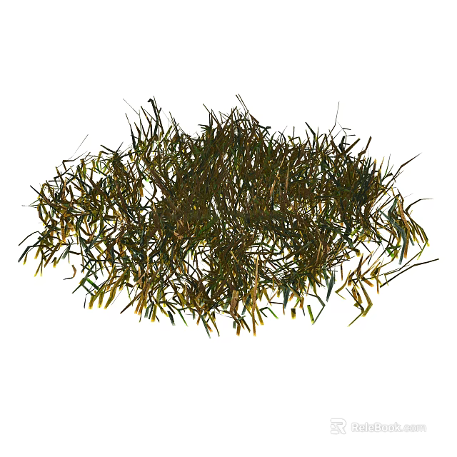 Dense Wild Green and Yellow Grass in Natural Scenic Outdoor Setting 3d model 