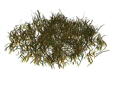 Dense Wild Green and Yellow Grass in Natural Scenic Outdoor Setting 3d model