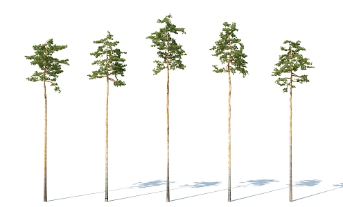 The Modern Tree 3d model