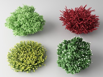 Modern shrubs 3d model