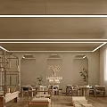 Pilates Fitness Studio Interior With Arched Design Wooden Flooring Green Plant