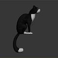 3D Black And White Cat Model In Standing Pose On Gray Background 3d model