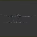 Detailed Dinosaur Skeleton Model With Extended Tail On Decorative Display Base 3d model