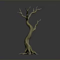 Ornamental Dried Tree Decor With Twisted Trunk Bare Branches And Exposed Roots